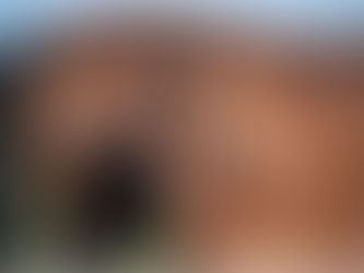 Le studbook Cheval de Dressage Français désormais affilié à la WBFSH