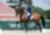 Steffen Peters reprend les rênes de Jojoba de Massa