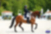 GPS du CDI 3* de Compiègne : Cathrine Dufour et Vamos Amigos font retentir l'hymne danois