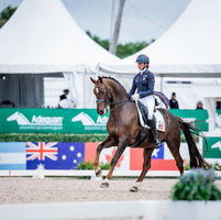 Les Etats-Unis remportent la Coupe des Nations de Wellington