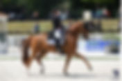 Le Danemark attendu au départ de la Coupe des Nations de Compiègne