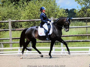 Verden : Barbara Clément Klinger et Jarina des Vallées à 78.250% dans la préliminaire des 7 ans