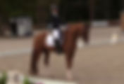 Championnats du Monde Jeunes Chevaux : les candidats français à la sélection