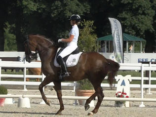 Grand Prix du CDI 3* de Jardy : 2 couples français dans les 3 premiers