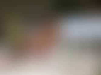 Dressprod partenaire de la Grande Semaine de dressage de Fontainebleau