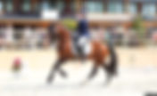 L'équipe de France Poneys 6 ème des Championnats d'Europe