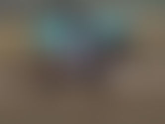 CDI 3* de Wellington Heckfield : Gio devance MSJ Freestyle