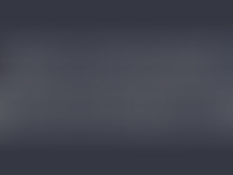 Vente du Hanovre : plus de 2.000.000€ pour un étalon par Vivaldi