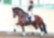 Ventes Hof Borgmann : 1.350.000 € pour About Me