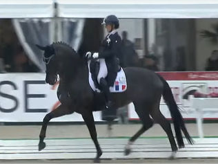 Verden : Barbara Clément Klinger et Jarina des Vallées à 78.772 % dans la Finale des 7ans