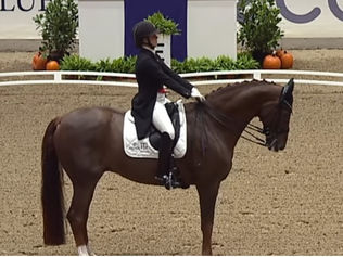 Grand Prix du CDI 5* de Herning: Cathrine Dufour & Bohemian devant leur public ; podium 100 % danois
