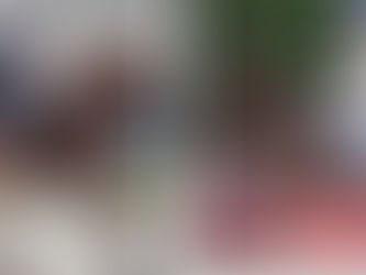 Ermelo : les chevaux français 27 et 31 èmes de la Préliminaire 6 ans des Championnats du Monde JC