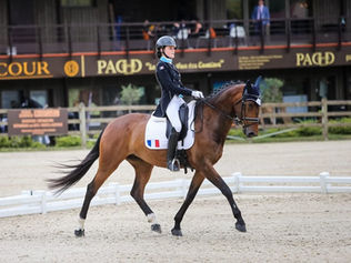 Foxy Girl Maupertuis vendue