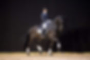 Sport Horses Pro : une vente aux enchères en ligne 5* du 2 ans au cheval de Grand Prix