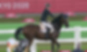 Pentathlon moderne : l'équitation bientôt supprimée