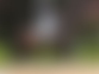 Fänomen de Malleret débute la compétition en France