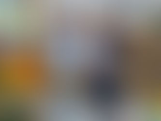 Daniel Pinto nommé entraineur du Brésil