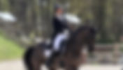 Le Grand Prix du CDI 3* de Herning pour Patrik Kittel & Bohemian - Camille Judet Chéret 9 ème