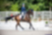 Championnat d'Europe Children : Stella Briand et U2 Jass du Derby à + de 73 % dans la Finale