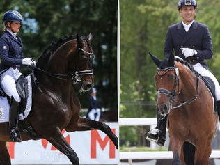 Grand Prix Coupe du Monde de Budapest : les français 2 ème et 4 ème