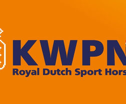 Le KWPN toujours meilleur studbook de dressage en 2025