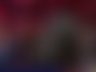 Un fils de Totilas s'impose en international ... de saut obstacles !