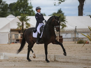 Morgan Barbançon & Sir Donnerhall II remportent le GP Coupe du Monde de Motesice .. à + de 71% !