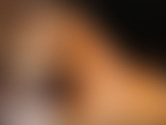 Don Clorentino des Paluds en lice pour les sélections allemandes des Championnats du Monde des 7 ans