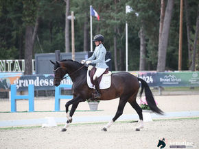 Desiree Majishan vendue