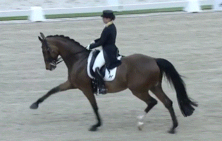 Grand Prix Coupe du Monde de S'Hertogenbosch : Isabell Werth et Emilio, évidemment (vidéo)