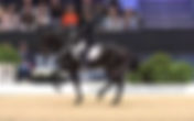 GP Coupe du Monde d'Equita'Lyon : Anne Sophie Serre et Actuelle de Massa à + de 69 %