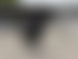 CDIO 5* de Compiègne : Cupido PB à 66.826 %