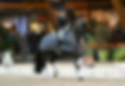 Isabell Werth & Wendy de Fontaine confirment dans le Grand Prix Spécial du CDI 3* du Mans
