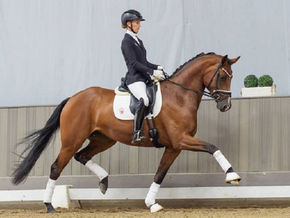 Vente du Westphalien : 167.000€ pour le Top Price