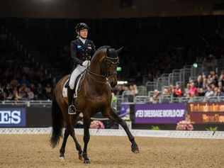L'Allemagne dévoile son équipe pour la Coupe des Nations d'Aix la Chapelle