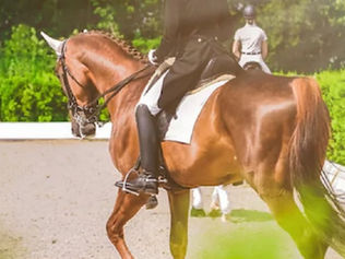 Le frac finalement autorisé pour les cavaliers Juniors en international ?