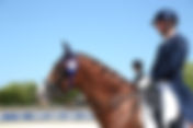 Grand Prix du CDI 3* de Deauville : victoire belge - Antoine Nowakowski & Quater Girl 3 èmes