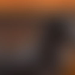 Extreme US a toujours la côté au KWPN