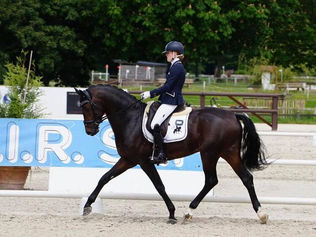 CIR de Jardy 5 ans : Emotion de Saint Val impérial dans la finale