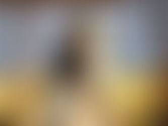 Habouche sous pavillon germanique