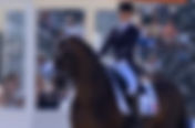 Top 10 des chevaux de dressage français les mieux indicés en 2020