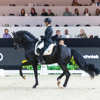 Justin Verboomen & Zonik Plus transportent le public de s'Hertogenbosch