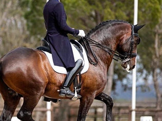 Un nouveau couple fait son entrée dans le Groupe 2 de la FFE