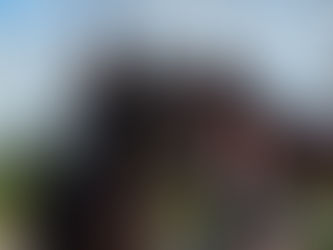 L'étalon One Million pour Adrienne Lyle