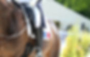 Championnats du Monde de Herning : quel couple réserviste pour la France ?