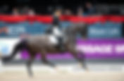 Equita'Lyon: l'Allemagne & le Danemark dominent le Grand Prix - Morgan Barbançon meilleure française