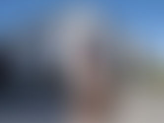 Une année record pour les étalons Helgstrand