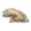 앉아 돼지