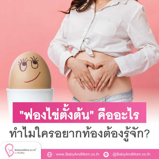 "ฟองไข่ตั้งต้น" คืออะไร ทำไมใครอยากท้องต้องรู้จัก?