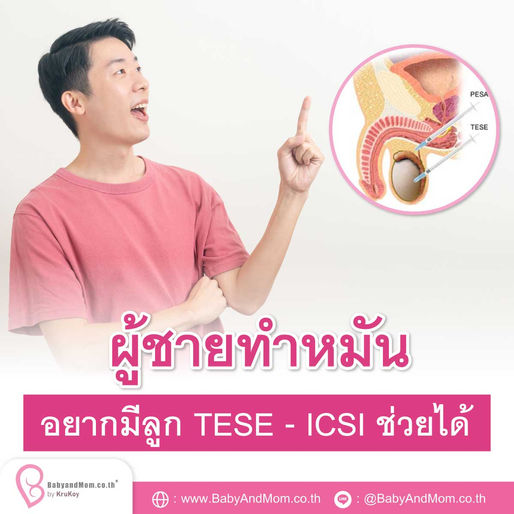 ผู้ชายทำหมัน อยากมีลูก TESE - ICSI ช่วยได้